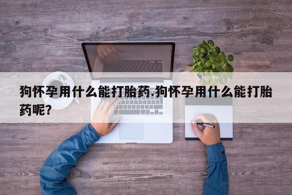 米非米索微信狗怀孕用什么能打胎药.狗怀孕用什么能打胎药呢？