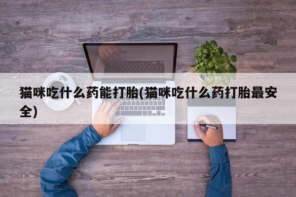 米非米索微信猫咪吃什么药能打胎(猫咪吃什么药打胎最安全)