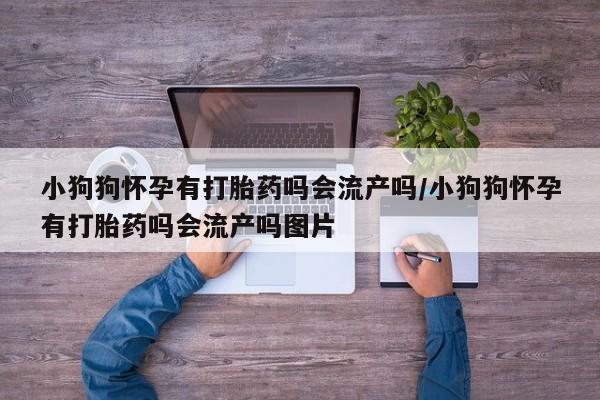 米非米索微信小狗狗怀孕有打胎药吗会流产吗/小狗狗怀孕有打胎药吗会流产吗图片