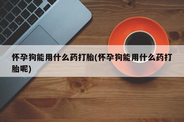 米非米索微信怀孕狗能用什么药打胎(怀孕狗能用什么药打胎呢)