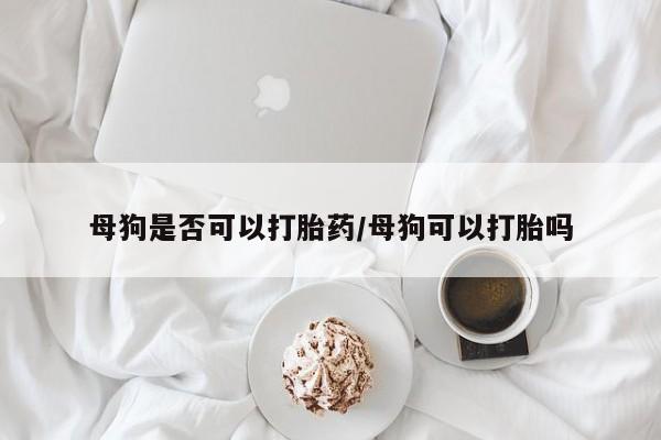 米非米索微信母狗是否可以打胎药/母狗可以打胎吗